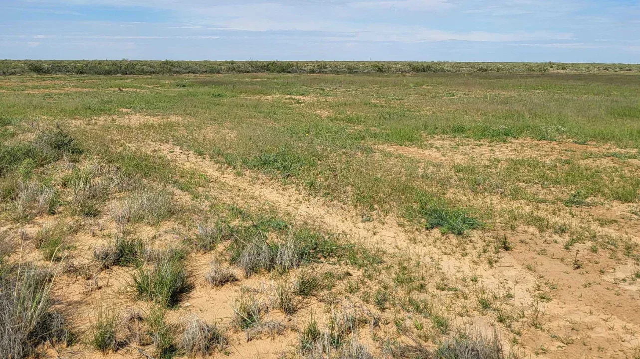 Landscape in Texas Permian Basin